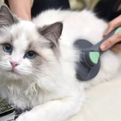 Pakeway Kattenborstel – Hondenborstel – Haarverwijderaar Voor Huisdieren – Kattenkam - Kortharig - Langharig - Inclusief Ebook! -Hondenbenodigdheden Korting 1200x1200 341