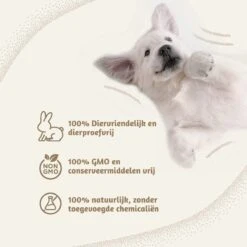 Aerend - Zalmolie Voor Honden En Katten - Zanipro® 500 Ml - 100% Visolie Op Schotse Zalmolie - Glanzende Vacht - Voedingssupplement - Anti-jeuk - Gezonde Bron Van Omega 3, 6 & 9 - Behandeling Voor Fretten En Paarden 14 Aerend - Zalmolie Voor Honden En Katten - Zanipro® 500 Ml - 100% Visolie Op Schotse Zalmolie - Glanzende Vacht - Voedingssupplement - Anti-jeuk - Gezonde Bron Van Omega 3, 6 & 9 - Behandeling Voor Fretten En Paarden -Hondenbenodigdheden Korting 1200x1200 35