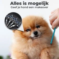 VoordeelShop 7-Delige Huisdier Knipset Met Etui - Trimmen Hond - Honden Schaar - Effileerschaar Hond - Huisdier Trimmer - Huisdier Knippen - Knipschaar Haar - Haar Schaar - Kapper - Kapperset - Scharenset 20 VoordeelShop 7-Delige Huisdier Knipset Met Etui - Trimmen Hond - Honden Schaar - Effileerschaar Hond - Huisdier Trimmer - Huisdier Knippen - Knipschaar Haar - Haar Schaar - Kapper - Kapperset - Scharenset -Hondenbenodigdheden Korting 1200x1200 358