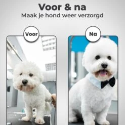 VoordeelShop 7-Delige Huisdier Knipset Met Etui - Trimmen Hond - Honden Schaar - Effileerschaar Hond - Huisdier Trimmer - Huisdier Knippen - Knipschaar Haar - Haar Schaar - Kapper - Kapperset - Scharenset 21 VoordeelShop 7-Delige Huisdier Knipset Met Etui - Trimmen Hond - Honden Schaar - Effileerschaar Hond - Huisdier Trimmer - Huisdier Knippen - Knipschaar Haar - Haar Schaar - Kapper - Kapperset - Scharenset -Hondenbenodigdheden Korting 1200x1200 359