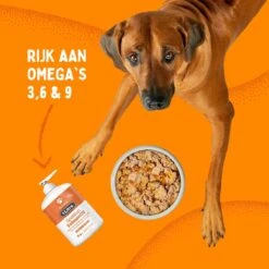 Aerend - Zalmolie Voor Honden En Katten - Zanipro® 500 Ml - 100% Visolie Op Schotse Zalmolie - Glanzende Vacht - Voedingssupplement - Anti-jeuk - Gezonde Bron Van Omega 3, 6 & 9 - Behandeling Voor Fretten En Paarden 16 Aerend - Zalmolie Voor Honden En Katten - Zanipro® 500 Ml - 100% Visolie Op Schotse Zalmolie - Glanzende Vacht - Voedingssupplement - Anti-jeuk - Gezonde Bron Van Omega 3, 6 & 9 - Behandeling Voor Fretten En Paarden -Hondenbenodigdheden Korting 1200x1200 36