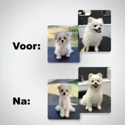 VoordeelShop 7-Delige Huisdier Knipset Met Etui - Trimmen Hond - Honden Schaar - Effileerschaar Hond - Huisdier Trimmer - Huisdier Knippen - Knipschaar Haar - Haar Schaar - Kapper - Kapperset - Scharenset 27 VoordeelShop 7-Delige Huisdier Knipset Met Etui - Trimmen Hond - Honden Schaar - Effileerschaar Hond - Huisdier Trimmer - Huisdier Knippen - Knipschaar Haar - Haar Schaar - Kapper - Kapperset - Scharenset -Hondenbenodigdheden Korting 1200x1200 363