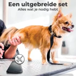 VoordeelShop 7-Delige Huisdier Knipset Met Etui - Trimmen Hond - Honden Schaar - Effileerschaar Hond - Huisdier Trimmer - Huisdier Knippen - Knipschaar Haar - Haar Schaar - Kapper - Kapperset - Scharenset 31 VoordeelShop 7-Delige Huisdier Knipset Met Etui - Trimmen Hond - Honden Schaar - Effileerschaar Hond - Huisdier Trimmer - Huisdier Knippen - Knipschaar Haar - Haar Schaar - Kapper - Kapperset - Scharenset -Hondenbenodigdheden Korting 1200x1200 364