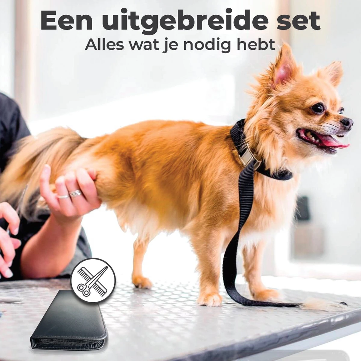 VoordeelShop 7-Delige Huisdier Knipset Met Etui - Trimmen Hond - Honden Schaar - Effileerschaar Hond - Huisdier Trimmer - Huisdier Knippen - Knipschaar Haar - Haar Schaar - Kapper - Kapperset - Scharenset 16 VoordeelShop 7-Delige Huisdier Knipset Met Etui - Trimmen Hond - Honden Schaar - Effileerschaar Hond - Huisdier Trimmer - Huisdier Knippen - Knipschaar Haar - Haar Schaar - Kapper - Kapperset - Scharenset - Afbeelding 16