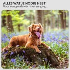 Krachtige Hondenföhn/ Waterblazer Met Draaiknop Om Overtollig Water En Stof Snel Uit De Vacht Te Blazen | Verstelbare Vermogen Standen (500W Tot 2200W) En Verstelbare Temperatuur - Type B Oranje -Hondenbenodigdheden Korting 1200x1200 374