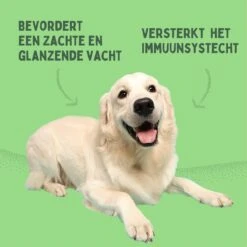 Aerend - Zalmolie Voor Honden En Katten - Zanipro® 500 Ml - 100% Visolie Op Schotse Zalmolie - Glanzende Vacht - Voedingssupplement - Anti-jeuk - Gezonde Bron Van Omega 3, 6 & 9 - Behandeling Voor Fretten En Paarden 22 Aerend - Zalmolie Voor Honden En Katten - Zanipro® 500 Ml - 100% Visolie Op Schotse Zalmolie - Glanzende Vacht - Voedingssupplement - Anti-jeuk - Gezonde Bron Van Omega 3, 6 & 9 - Behandeling Voor Fretten En Paarden -Hondenbenodigdheden Korting 1200x1200 38