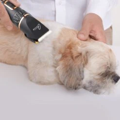 Tjilla Professionele Dieren/honden Tondeuse Set Extra Krachtig - Honden Trimmer - Lang Of Kortharige Huisdieren Katten & Honden - Draadloos - Weinig Geluid 9 Tjilla Professionele Dieren/honden Tondeuse Set Extra Krachtig - Honden Trimmer - Lang Of Kortharige Huisdieren Katten & Honden - Draadloos - Weinig Geluid -Hondenbenodigdheden Korting 1200x1200 387