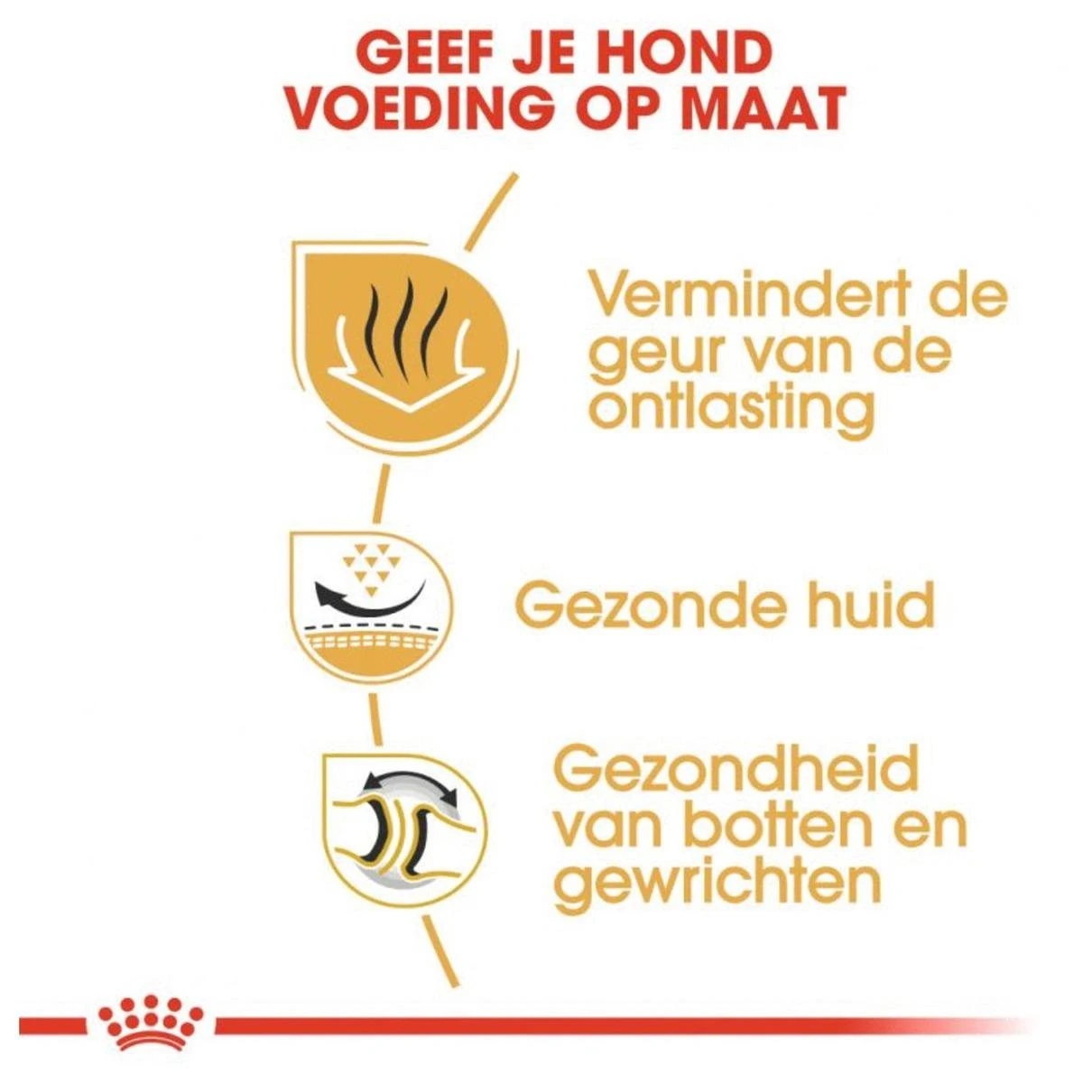 Royal Canin English Bulldog 12 KG 5 Royal Canin English Bulldog 12 KG - Afbeelding 5