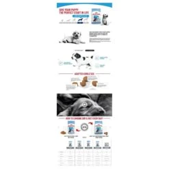 Royal Canin Maxi Puppy 4 KG -Hondenbenodigdheden Korting 1200x1200 40