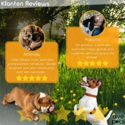 AVE Pets® Complete Hondentondeuse Set - Draadloos Tondeuse - Scheerapparaat Voor Je Hond Of Kat - Huisdier Trimmer - Professionele Dierentondeuse - Dieren Verzorging -Hondenbenodigdheden Korting 1200x1200 404