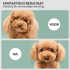 Hondenföhn/Waterblazer - Verstelbare Vermogen Standen (500W Tot 2400W) En Verstelbare Temperatuur - Zwart -Hondenbenodigdheden Korting 1200x1200 419