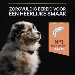 Pro Plan Medium Puppy Sensitive Skin - Honden Droogvoer - Zalm - 12 Kg 26 Pro Plan Medium Puppy Sensitive Skin - Honden Droogvoer - Zalm - 12 Kg -Hondenbenodigdheden Korting 1200x1200 44