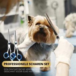 BeautyFit - 16-delig Hondentondeuse Set - Professionele Honden Trimset - Dieren Tondeuse Voor Dikke Vacht - Meest Complete Set - Inclusief 4 Opzetkammen - Hondenschaar - Mist Verstuiver - Handschoen Borstel - Nagelknipper 13 BeautyFit - 16-delig Hondentondeuse Set - Professionele Honden Trimset - Dieren Tondeuse Voor Dikke Vacht - Meest Complete Set - Inclusief 4 Opzetkammen - Hondenschaar - Mist Verstuiver - Handschoen Borstel - Nagelknipper -Hondenbenodigdheden Korting 1200x1200 454