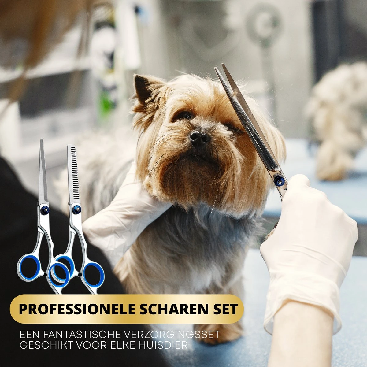 BeautyFit - 16-delig Hondentondeuse Set - Professionele Honden Trimset - Dieren Tondeuse Voor Dikke Vacht - Meest Complete Set - Inclusief 4 Opzetkammen - Hondenschaar - Mist Verstuiver - Handschoen Borstel - Nagelknipper 6 BeautyFit - 16-delig Hondentondeuse Set - Professionele Honden Trimset - Dieren Tondeuse Voor Dikke Vacht - Meest Complete Set - Inclusief 4 Opzetkammen - Hondenschaar - Mist Verstuiver - Handschoen Borstel - Nagelknipper - Afbeelding 6