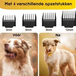 AVE Pets® Volledige Hondentondeuse Set Met Display - Draadloos Tondeuse - Scheerapparaat Voor Je Hond Of Kat - Huisdier Trimmer - Dierentondeuse - Dieren Verzorging 13 AVE Pets® Volledige Hondentondeuse Set Met Display - Draadloos Tondeuse - Scheerapparaat Voor Je Hond Of Kat - Huisdier Trimmer - Dierentondeuse - Dieren Verzorging -Hondenbenodigdheden Korting 1200x1200 456