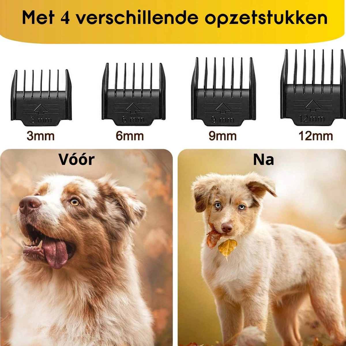 AVE Pets® Volledige Hondentondeuse Set Met Display - Draadloos Tondeuse - Scheerapparaat Voor Je Hond Of Kat - Huisdier Trimmer - Dierentondeuse - Dieren Verzorging 5 AVE Pets® Volledige Hondentondeuse Set Met Display - Draadloos Tondeuse - Scheerapparaat Voor Je Hond Of Kat - Huisdier Trimmer - Dierentondeuse - Dieren Verzorging - Afbeelding 5