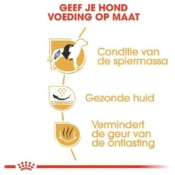 Royal Canin French Bulldog Adult 9 KG 15 Royal Canin French Bulldog Adult 9 KG -Hondenbenodigdheden Korting 1200x1200 48