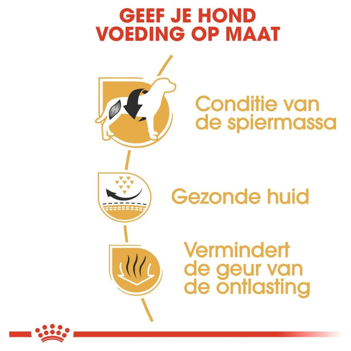 Royal Canin French Bulldog Adult 9 KG 4 Royal Canin French Bulldog Adult 9 KG - Afbeelding 4