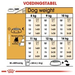 Royal Canin French Bulldog Adult 9 KG 18 Royal Canin French Bulldog Adult 9 KG -Hondenbenodigdheden Korting 1200x1200 49