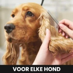 Hondentondeuse - Honden & Katten - Trimmer - Geluidsloos -Hondenbenodigdheden Korting 1200x1200 499