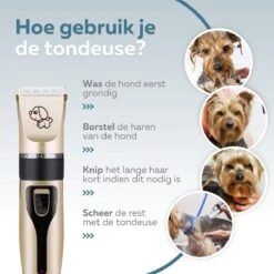 BYER Professionele Dieren Tondeuse Set - Voor Huisdieren Katten & Honden - Draadloos - Oplaadbare Pet Trimmer - Dog Tondeuze Clipper - 5 Standen & Vier Opzetkammen - Low Noise 15 BYER Professionele Dieren Tondeuse Set - Voor Huisdieren Katten & Honden - Draadloos - Oplaadbare Pet Trimmer - Dog Tondeuze Clipper - 5 Standen & Vier Opzetkammen - Low Noise -Hondenbenodigdheden Korting 1200x1200 505