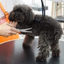 Merkloos Premium Gebogen Trimschaar Honden - Huisdier Trimmen - Hoofd, Poten Ogen & Oren - Kat & Hond Knippen - Veilige Schaar -Hondenbenodigdheden Korting 1200x1200 507