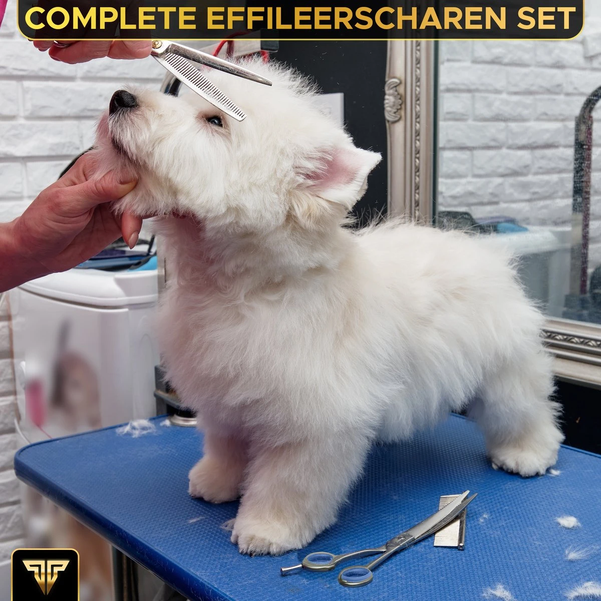 Toivo Schaar Voor Dieren - Zilver - Effileerscharen - Honden Scharenset - Dierenschaar - Set 5 Stuks - Trimscharen - Trimset - Uitdunschaar Hond - Schaar Honden 3 Toivo Schaar Voor Dieren - Zilver - Effileerscharen - Honden Scharenset - Dierenschaar - Set 5 Stuks - Trimscharen - Trimset - Uitdunschaar Hond - Schaar Honden - Afbeelding 3