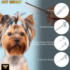 Toivo Schaar Voor Dieren - Zilver - Effileerscharen - Honden Scharenset - Dierenschaar - Set 5 Stuks - Trimscharen - Trimset - Uitdunschaar Hond - Schaar Honden 14 Toivo Schaar Voor Dieren - Zilver - Effileerscharen - Honden Scharenset - Dierenschaar - Set 5 Stuks - Trimscharen - Trimset - Uitdunschaar Hond - Schaar Honden -Hondenbenodigdheden Korting 1200x1200 513