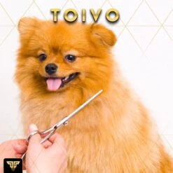 Toivo Schaar Voor Dieren - Zilver - Effileerscharen - Honden Scharenset - Dierenschaar - Set 5 Stuks - Trimscharen - Trimset - Uitdunschaar Hond - Schaar Honden 15 Toivo Schaar Voor Dieren - Zilver - Effileerscharen - Honden Scharenset - Dierenschaar - Set 5 Stuks - Trimscharen - Trimset - Uitdunschaar Hond - Schaar Honden -Hondenbenodigdheden Korting 1200x1200 514