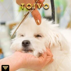 Toivo Schaar Voor Dieren - Zilver - Effileerscharen - Honden Scharenset - Dierenschaar - Set 5 Stuks - Trimscharen - Trimset - Uitdunschaar Hond - Schaar Honden 16 Toivo Schaar Voor Dieren - Zilver - Effileerscharen - Honden Scharenset - Dierenschaar - Set 5 Stuks - Trimscharen - Trimset - Uitdunschaar Hond - Schaar Honden -Hondenbenodigdheden Korting 1200x1200 515