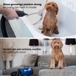 Nuvoo Professionele Hondenföhn / Waterblazer / Hondenborstel Met 3 Opzetstukken - Verstelbare Vermogen Tot 2200W - Warme / Koude Stand - Roze -Hondenbenodigdheden Korting 1200x1200 542