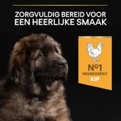 Pro Plan Healthy Start Puppy Large Robust - Honden Droogvoer - Kip - 12 Kg -Hondenbenodigdheden Korting 1200x1200 55