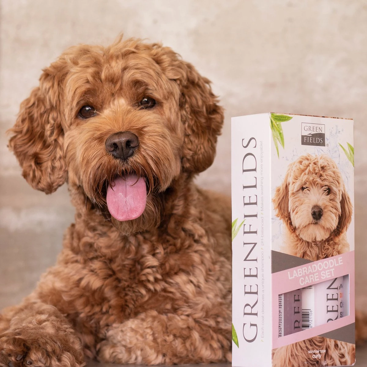 Greenfields Labradoodle Vacht Verzorgingsset - Shampoo En Anti-Klit Spray Voor Langharige Of Krullende Vacht 4 Greenfields Labradoodle Vacht Verzorgingsset - Shampoo En Anti-Klit Spray Voor Langharige Of Krullende Vacht - Afbeelding 4