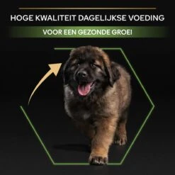 Pro Plan Healthy Start Puppy Large Robust - Honden Droogvoer - Kip - 12 Kg -Hondenbenodigdheden Korting 1200x1200 56