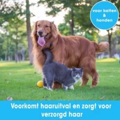 Professionele Ondervacht Kam Voor Hond En Kat S – Hondenborstel – Kattenborstel - Hondenkam –Anti Klit - Haarverwijderaar Voor Huisdieren - Pijnloos - Huisdiervriendelijk – Klittenkam - Voorkomt Haaruitval - Kleine Variant- Black Friday - Sinterklaas 7 Professionele Ondervacht Kam Voor Hond En Kat S – Hondenborstel – Kattenborstel - Hondenkam –Anti Klit - Haarverwijderaar Voor Huisdieren - Pijnloos - Huisdiervriendelijk – Klittenkam - Voorkomt Haaruitval - Kleine Variant- Black Friday - Sinterklaas -Hondenbenodigdheden Korting 1200x1200 599