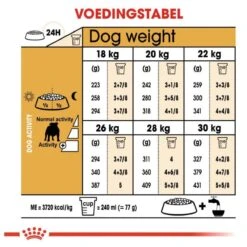 Royal Canin English Bulldog 12 KG 24 Royal Canin English Bulldog 12 KG -Hondenbenodigdheden Korting 1200x1200 6