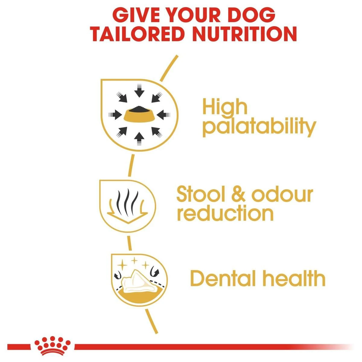 Royal Canin Chihuahua 3 KG 8 Royal Canin Chihuahua 3 KG - Afbeelding 8