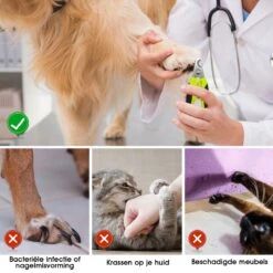 Mister Mill Professionele Nagelknipper Hond En Kat - Nageltang - Nagelschaar Konijn, Cavia En Andere Dieren 17 Mister Mill Professionele Nagelknipper Hond En Kat - Nageltang - Nagelschaar Konijn, Cavia En Andere Dieren -Hondenbenodigdheden Korting 1200x1200 610