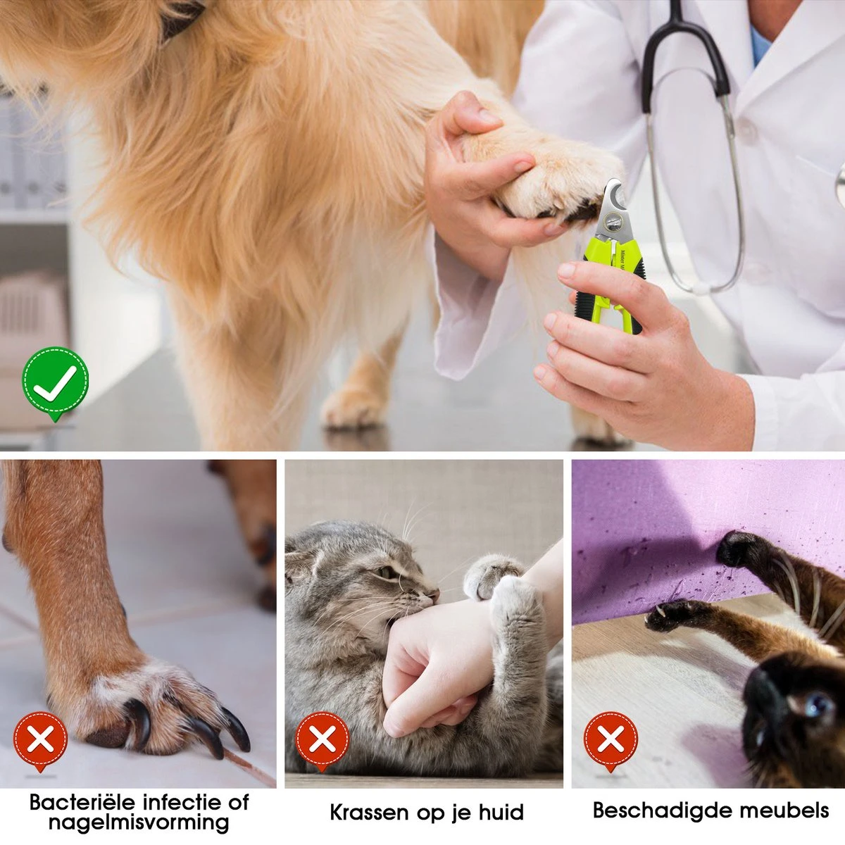 Mister Mill Professionele Nagelknipper Hond En Kat - Nageltang - Nagelschaar Konijn, Cavia En Andere Dieren 5 Mister Mill Professionele Nagelknipper Hond En Kat - Nageltang - Nagelschaar Konijn, Cavia En Andere Dieren - Afbeelding 5