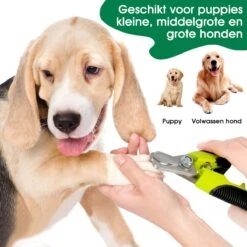 Mister Mill Professionele Nagelknipper Hond En Kat - Nageltang - Nagelschaar Konijn, Cavia En Andere Dieren 18 Mister Mill Professionele Nagelknipper Hond En Kat - Nageltang - Nagelschaar Konijn, Cavia En Andere Dieren -Hondenbenodigdheden Korting 1200x1200 611