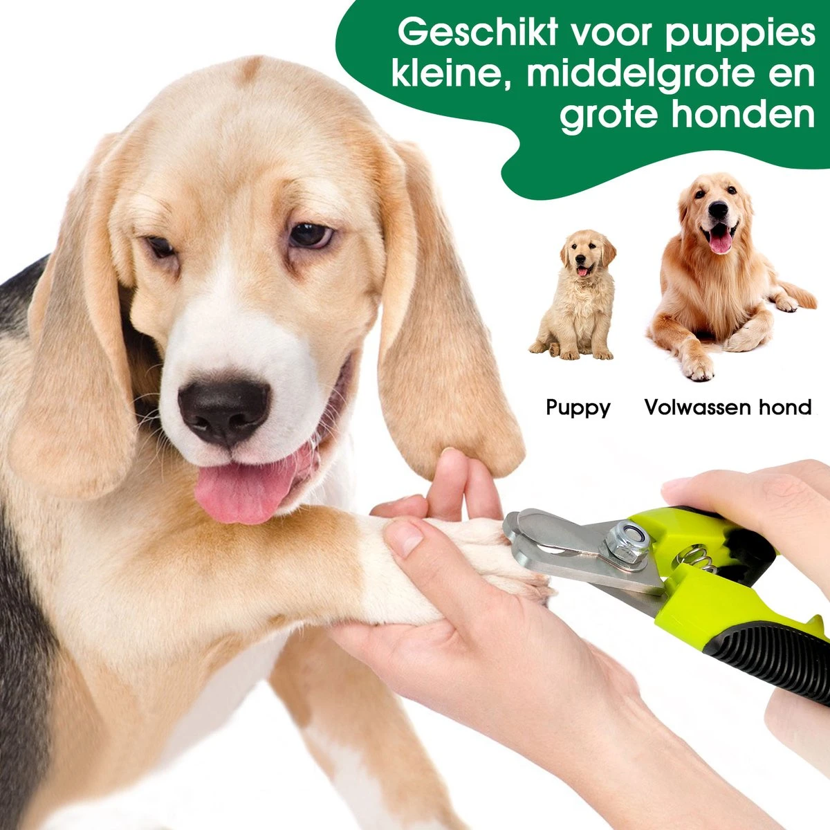 Mister Mill Professionele Nagelknipper Hond En Kat - Nageltang - Nagelschaar Konijn, Cavia En Andere Dieren 6 Mister Mill Professionele Nagelknipper Hond En Kat - Nageltang - Nagelschaar Konijn, Cavia En Andere Dieren - Afbeelding 6