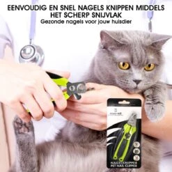 Mister Mill Professionele Nagelknipper Hond En Kat - Nageltang - Nagelschaar Konijn, Cavia En Andere Dieren 24 Mister Mill Professionele Nagelknipper Hond En Kat - Nageltang - Nagelschaar Konijn, Cavia En Andere Dieren -Hondenbenodigdheden Korting 1200x1200 613