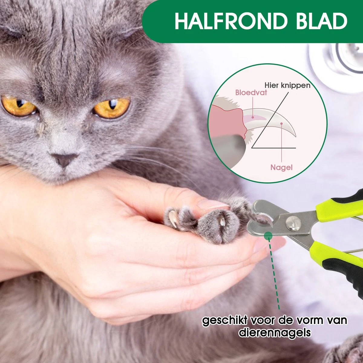 Mister Mill Nagelknipper Kat - Nagelschaar - Kleine Hond (Max. 10 Kg.) Vogel En Knaagdier 2 Mister Mill Nagelknipper Kat - Nagelschaar - Kleine Hond (Max. 10 Kg.) Vogel En Knaagdier - Afbeelding 2