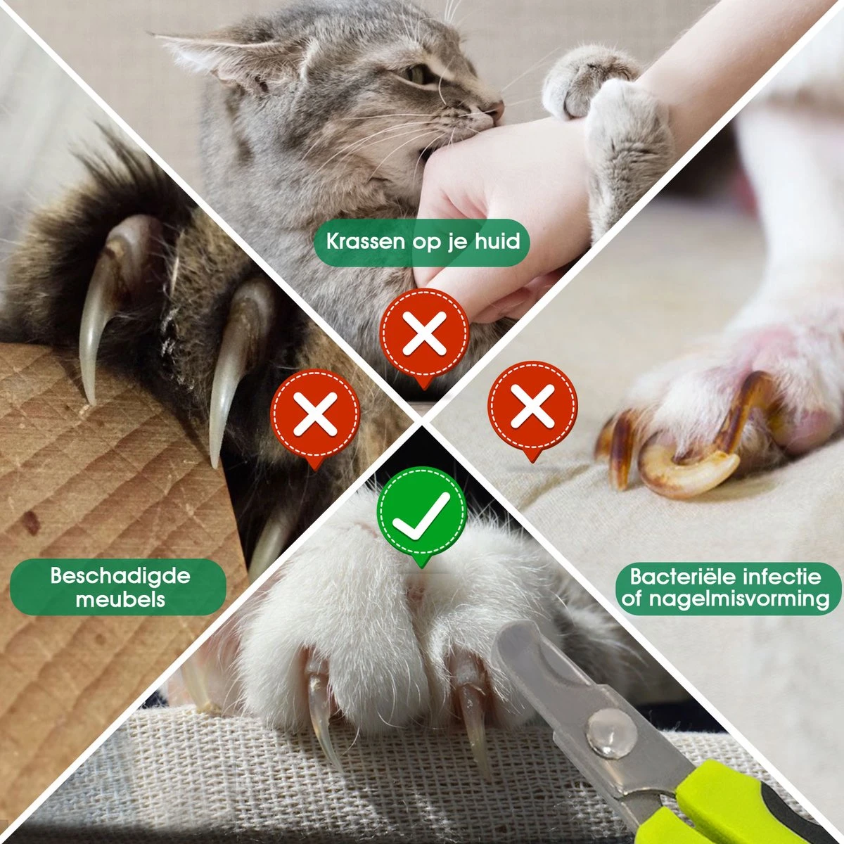 Mister Mill Nagelknipper Kat - Nagelschaar - Kleine Hond (Max. 10 Kg.) Vogel En Knaagdier 5 Mister Mill Nagelknipper Kat - Nagelschaar - Kleine Hond (Max. 10 Kg.) Vogel En Knaagdier - Afbeelding 5