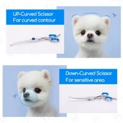 Nobleza Vachtscharen En Kam Set - Scharen Set - Vachtverzorging Set - Scharen Set Voor Honden En Katten -Hondenbenodigdheden Korting 1200x1200 658