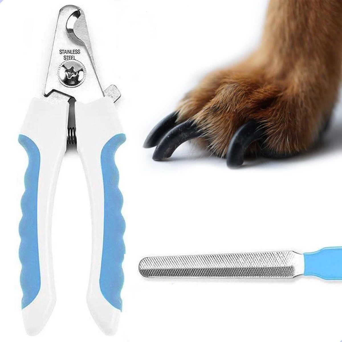 Professionele Nagelschaar|Nagelschaar Hond | Nagelschaar Kat| Nagelknipper Hond En Kat| Nagelknipper Kat| Nagelknipper Hond|NagelTang Dieren|Poot Verzorging 1 Professionele Nagelschaar|Nagelschaar Hond | Nagelschaar Kat| Nagelknipper Hond En Kat| Nagelknipper Kat| Nagelknipper Hond|NagelTang Dieren|Poot Verzorging