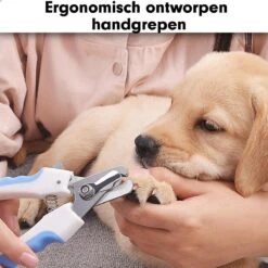 Professionele Nagelschaar|Nagelschaar Hond | Nagelschaar Kat| Nagelknipper Hond En Kat| Nagelknipper Kat| Nagelknipper Hond|NagelTang Dieren|Poot Verzorging 13 Professionele Nagelschaar|Nagelschaar Hond | Nagelschaar Kat| Nagelknipper Hond En Kat| Nagelknipper Kat| Nagelknipper Hond|NagelTang Dieren|Poot Verzorging -Hondenbenodigdheden Korting 1200x1200 661