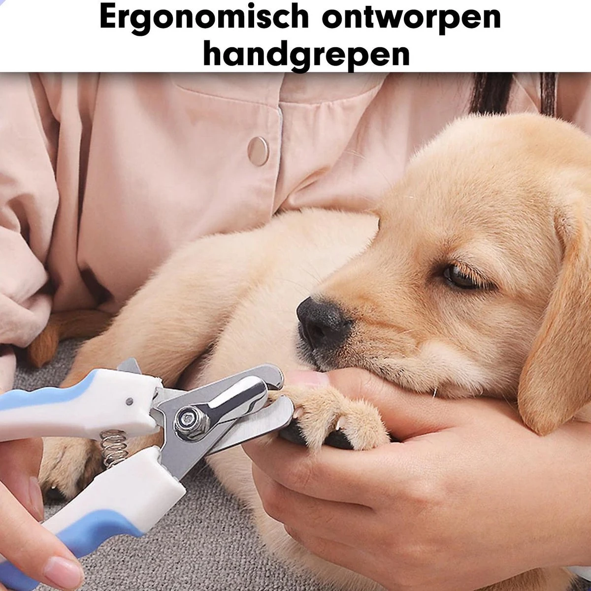 Professionele Nagelschaar|Nagelschaar Hond | Nagelschaar Kat| Nagelknipper Hond En Kat| Nagelknipper Kat| Nagelknipper Hond|NagelTang Dieren|Poot Verzorging 3 Professionele Nagelschaar|Nagelschaar Hond | Nagelschaar Kat| Nagelknipper Hond En Kat| Nagelknipper Kat| Nagelknipper Hond|NagelTang Dieren|Poot Verzorging - Afbeelding 3