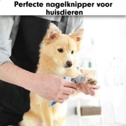 Professionele Nagelschaar|Nagelschaar Hond | Nagelschaar Kat| Nagelknipper Hond En Kat| Nagelknipper Kat| Nagelknipper Hond|NagelTang Dieren|Poot Verzorging 15 Professionele Nagelschaar|Nagelschaar Hond | Nagelschaar Kat| Nagelknipper Hond En Kat| Nagelknipper Kat| Nagelknipper Hond|NagelTang Dieren|Poot Verzorging -Hondenbenodigdheden Korting 1200x1200 663