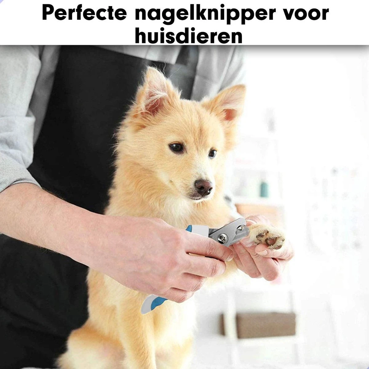 Professionele Nagelschaar|Nagelschaar Hond | Nagelschaar Kat| Nagelknipper Hond En Kat| Nagelknipper Kat| Nagelknipper Hond|NagelTang Dieren|Poot Verzorging 5 Professionele Nagelschaar|Nagelschaar Hond | Nagelschaar Kat| Nagelknipper Hond En Kat| Nagelknipper Kat| Nagelknipper Hond|NagelTang Dieren|Poot Verzorging - Afbeelding 5